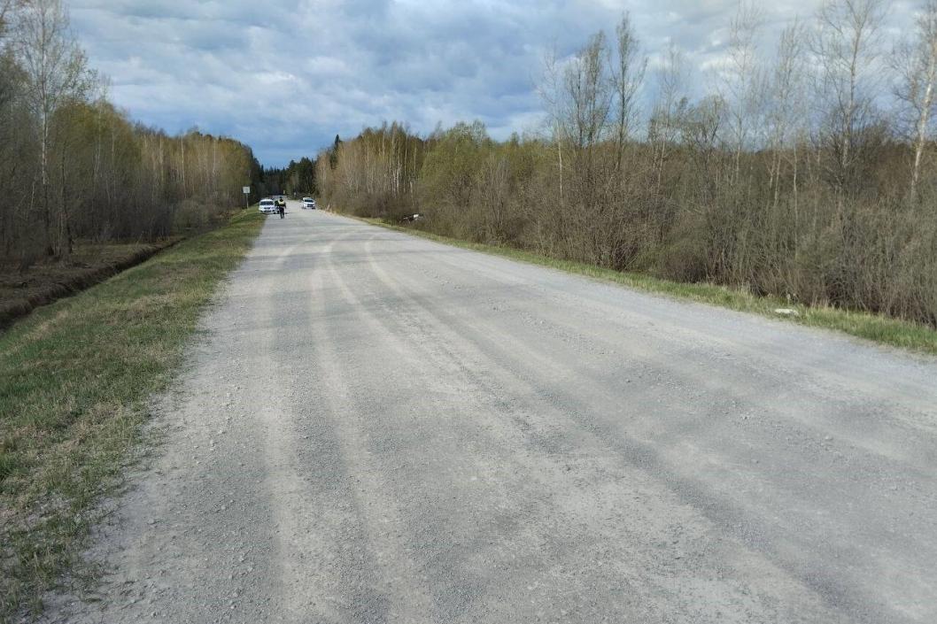 Фото Госавтоинспекции Тюменской области