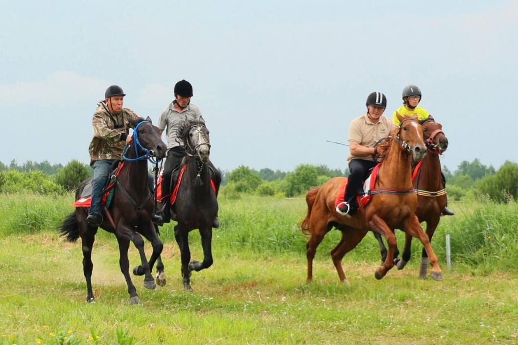 Фото пресс-службы администрации Тобольска