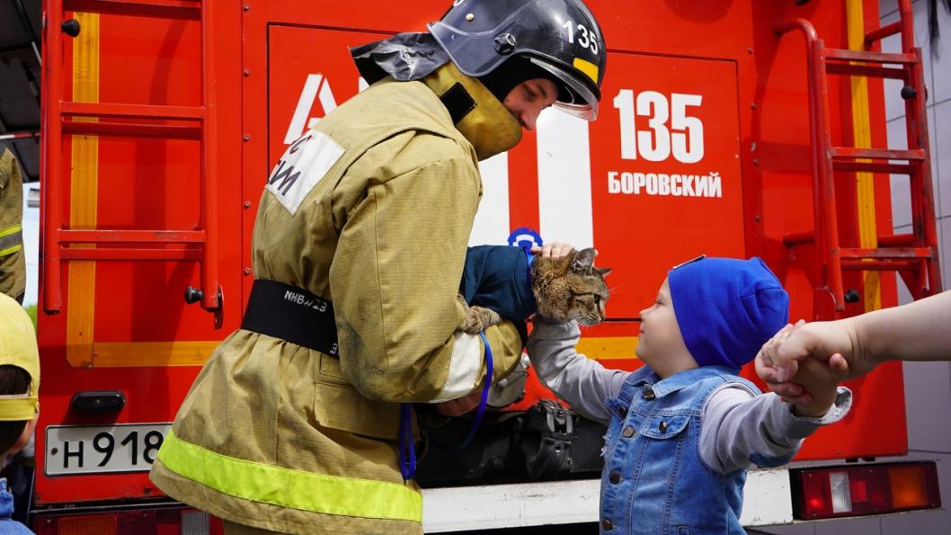 Фото из группы «Семён Кот-Пожарный» в ВК, автор неизвестен