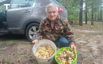 Опытный грибник рассказал тюменцам, где искать маслята и белые грибы