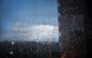 В День города в Тюмени ожидается +17 и дождь