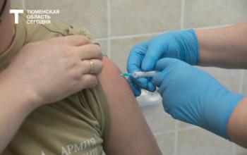 В Тюменской области начала работу горячая линия по профилактике клещевого энцефалита