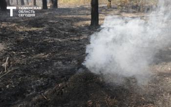 С начала сезона в Тюменской области зарегистрировано 125 ландшафтных пожаров