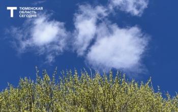 Режим беспилотной опасности отменен в Тюменской области