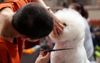 Карта труда обновлена: как выглядит новый официальный список профессий России