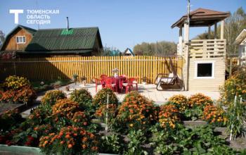 12 важных дел на май: советы тюменского эксперта для богатого урожая