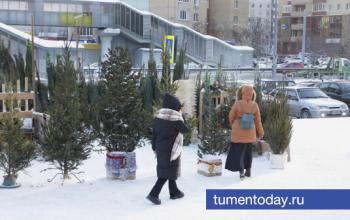 В Тюмени начали работу более 25 елочных базаров
