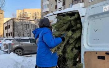 Тюменцы подарили новогодние елки обитателям зоопарка