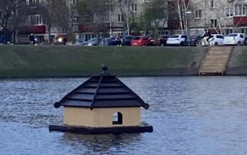 На Утином пруду в Тюмени появились домики для уток