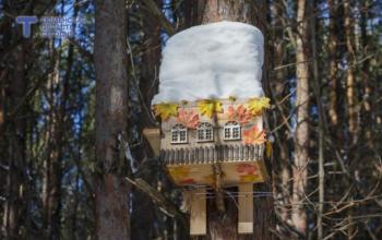 В Тюмени 28 марта будет +14 градусов 