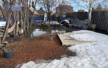 Вода в саду: тюменский эксперт рассказала, как спасти деревья от гибели после аномального таяния снега