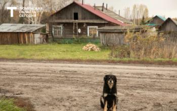Тюменские дачники столкнулись с нашествием лесных хомяков – карбышей