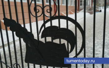 В школах Тюменской области отменили занятия для 1-9 классов