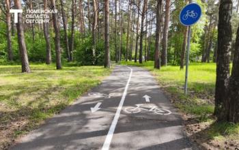 В Гилевской роще избавляются от опасных деревьев