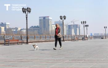 В Тюменской области стартует проект «Сибирские прогулки»