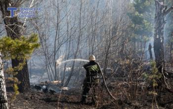 Первые ландшафтные пожары зафиксированы в Тюменской области