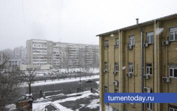 19 декабря в Тюмени пойдет снег при -10 градусах