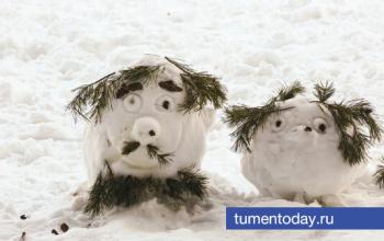 25 февраля в Тюмени будет пасмурно, за окном до -21 градуса