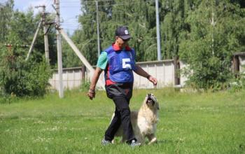 Фото федерации спортивно-прикладного собаководства Тюменской области, автор неизвестен