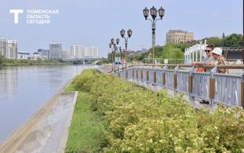 Уровень воды Туры в Тюмени за сутки опустился на 10 см