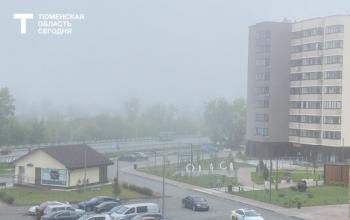 В Тюменской области 10 июля ожидаются дожди, грозы и туман