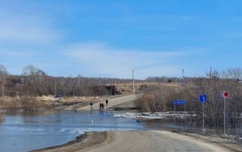 В Тюменской области затопило мост на подъезде к деревне Кармацкой