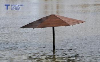 В Тюменской области река Мергенька вышла из берегов