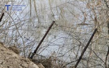 Мост через реку Вагай в деревне Дранкова закрыт из-за подтопления