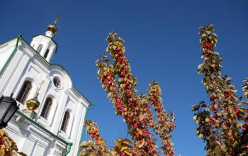 Фото Сергея Куликова