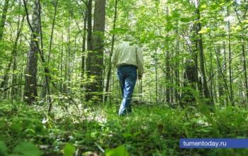В Тюменской области возьмут под контроль Борщевик Сосновский и еще семь видов растений