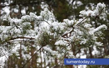 26 января температура воздуха в Тюмени опустится до -26 градусов