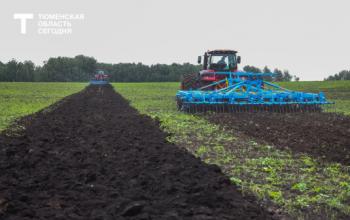 Аграрии Тюменской области наращивают запасы кормов для животноводства