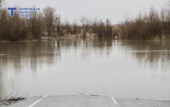 Уровень воды в реках в Ишиме пока не вызывает опасений