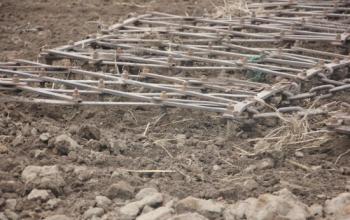В Тюменской области уже начинаются весенние полевые работы 