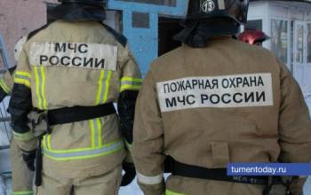Тюменские спасатели потушили 11 пожаров за сутки
