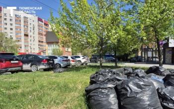Ветки и траву нельзя выбрасывать на контейнерные площадки – объясняем, почему