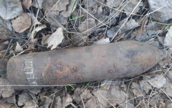 В Омутинском районе обнаружили артиллерийский снаряд времен гражданской войны 