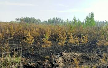 Фото Евгении Ноговициной