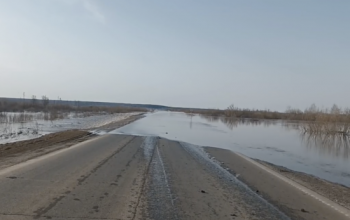 Из-за перелива воды в Тюменской области перекрыли участок региональной трассы 