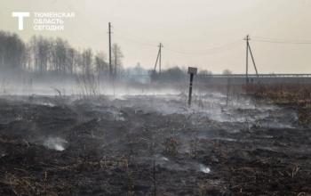 В Тюмени на Мысу потушили полыхающее поле