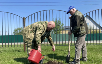 В Сорокинском округе высадили аллею «Дерево мира»