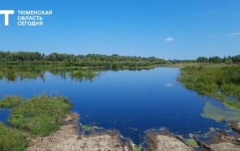 В Иевлево река Тобол приблизилась к критической отметке: до опасного уровня остался 1 см