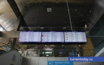 До 8 тысяч россиян не могут вернуться домой из-за отмены рейсов из стран Ближнего Востока