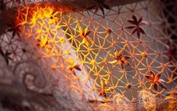 Кружево на стенах: в Тюмени ищут связь промысла с повседневностью