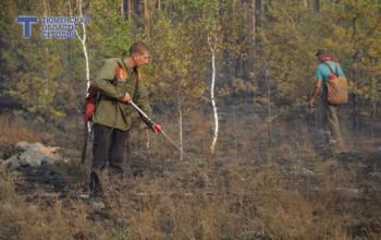 В Тюменской области 6 апреля стартовал пожароопасный сезон