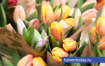 В теплицах под Тюменью вырастили 300 тысяч тюльпанов перед 8 Марта