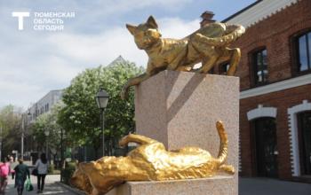 Более 50 тысяч тюменцев уже проголосовали за проекты благоустройства