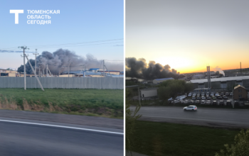 Причиной дыма над мясокомбинатом в Ишиме стало возгорание мусора