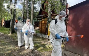 В тюменском СНТ «Дубрава» продолжается дезинфекция после паводка