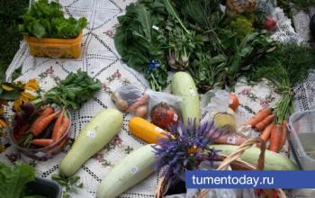 Парадокс месяца: как изменились цены на продукты в Тюменской области